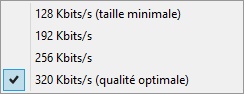 Windows Media Player : Débit (bitrate) fichier mp3