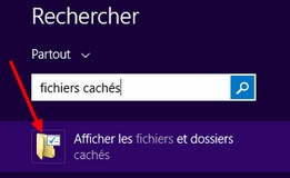 Afficher les dossiers et fichiers cachés dans Windows 8