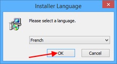 Installation Mp3tag : Choix de la langue d'installation