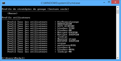 netsh wlan show profiles