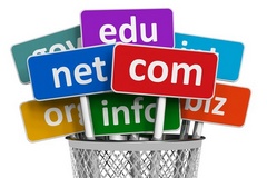 TLD (Top Level Domain) : .com, .net, .org, .fr,...
