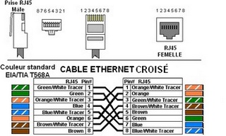 Câble droit blindé de 2 mètres pour installation réseau