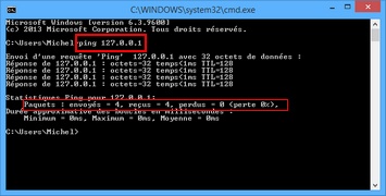 Ping 127.0.0.1 : Test de la carte réseau local